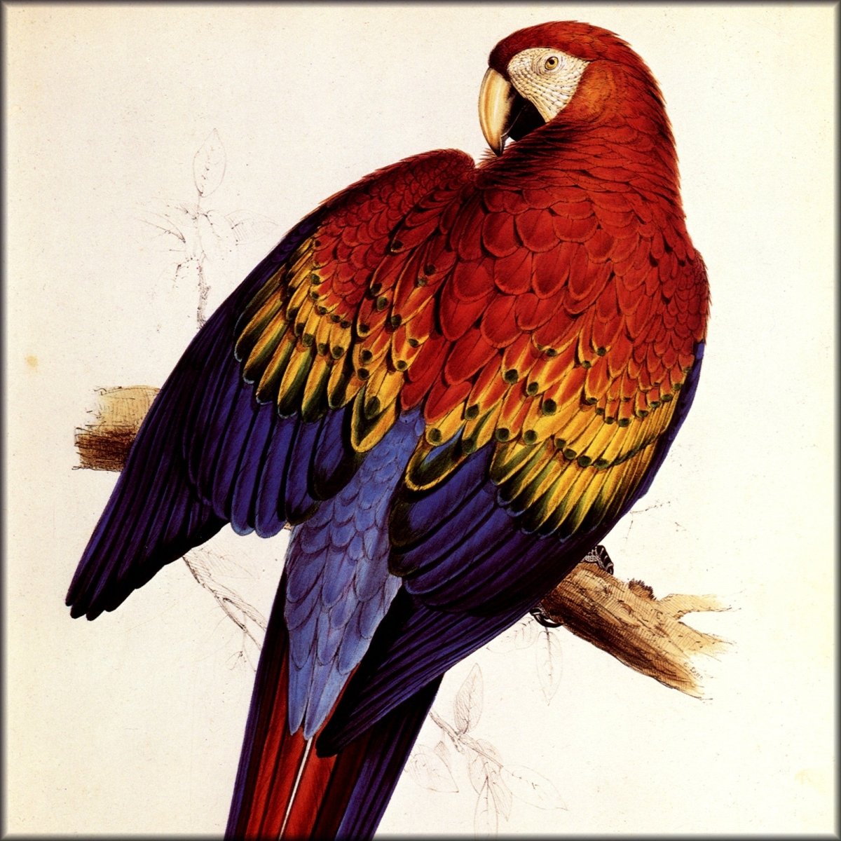 Digital Download - 1 image