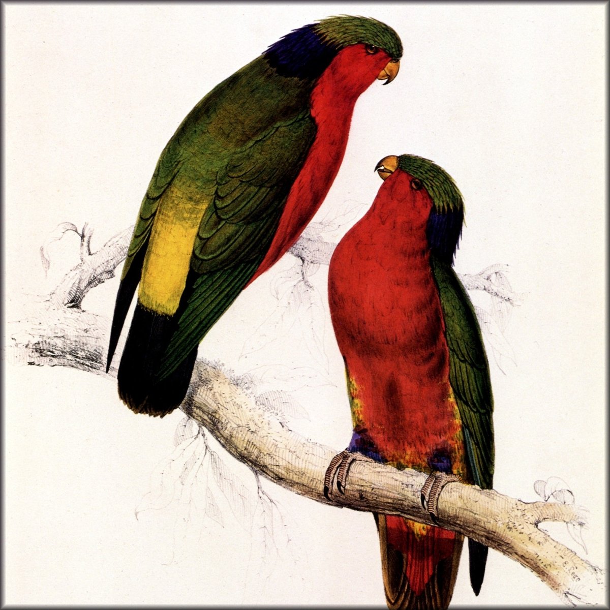 Digital Download - 1 image