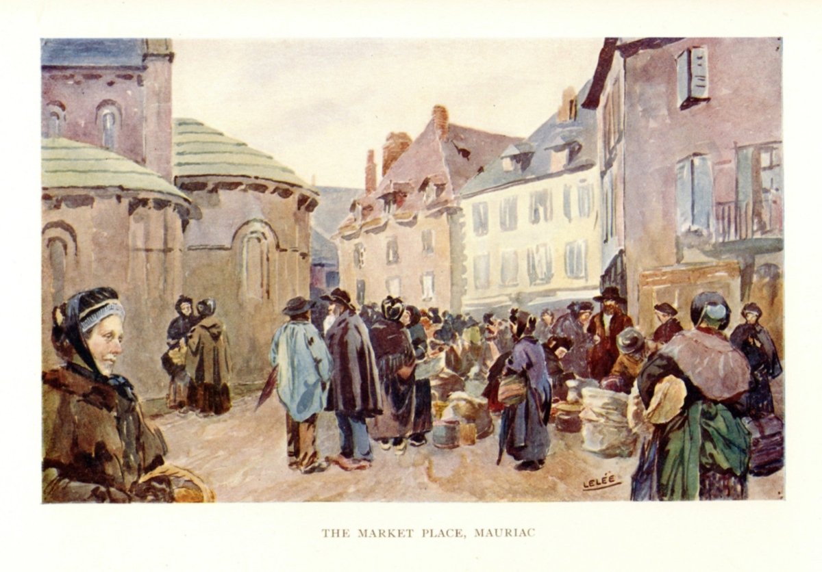 Dimensions 3905 x 2720 pixels