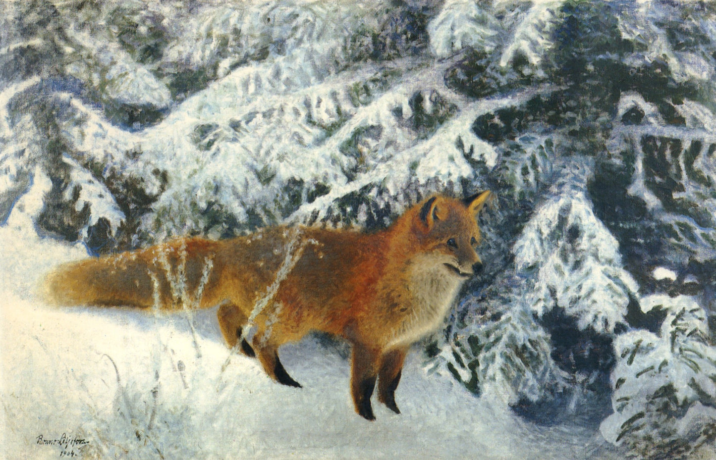Animals in the Snow - 101 High Resolution Images | Dimensions 6041 x 3885 pixels