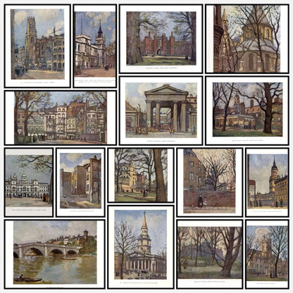 A snapshot of the images