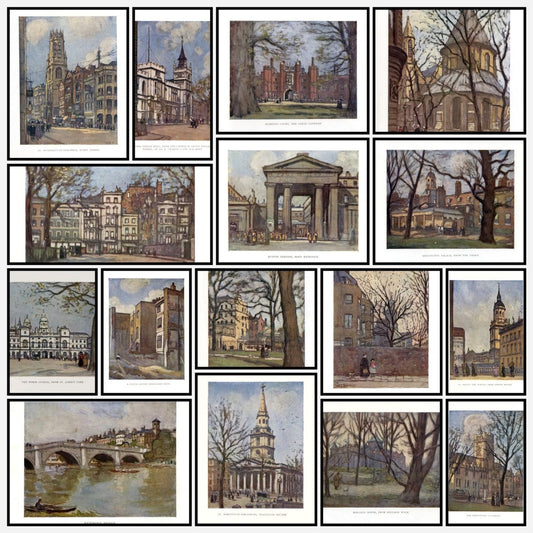 A snapshot of the images