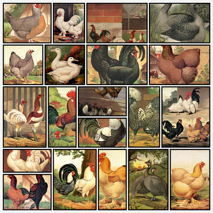 A snapshot of some of the images