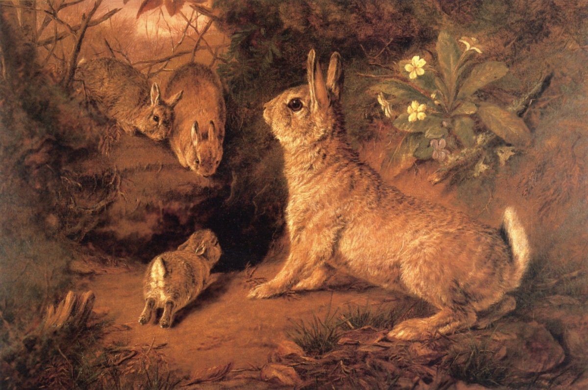 Dimensions 4584 x 3040 pixels