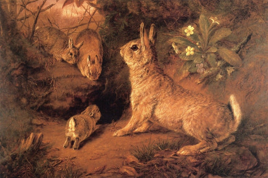 Dimensions 4584 x 3040 pixels