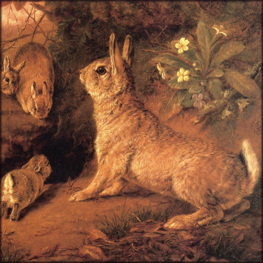 Digital Download - 1 image