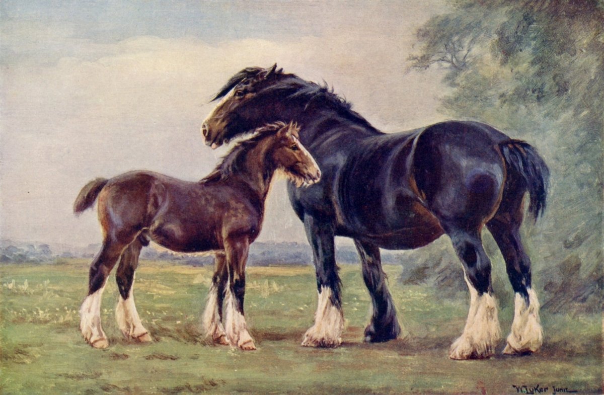 Dimensions 4800 x 3140 pixels