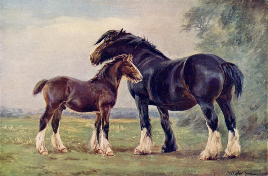 Dimensions 4800 x 3140 pixels