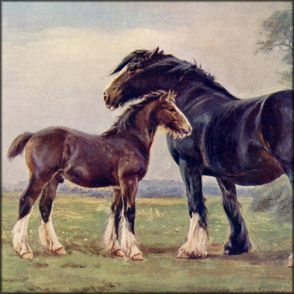 Digital Download - 1 image