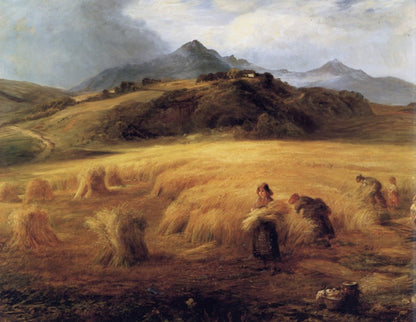 Dimensions 5760 x 4460 pixels