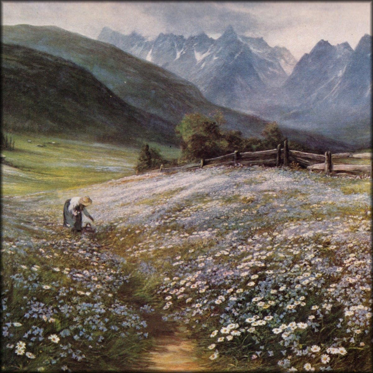 Digital Download - 1 image