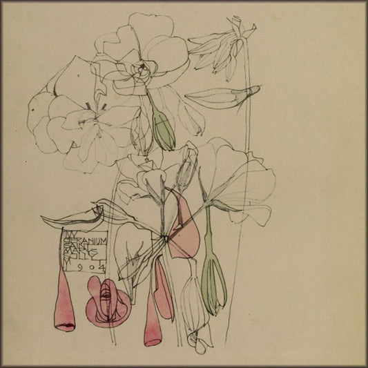 Digital Download - 1 image