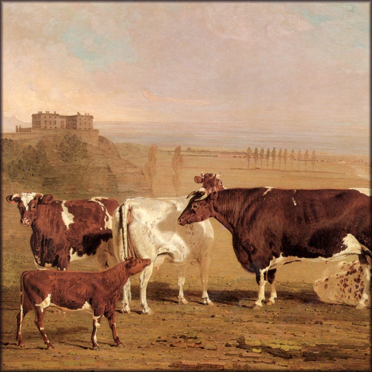 Digital Download - 1 image