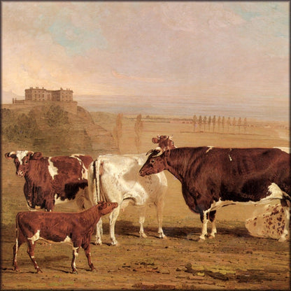 Digital Download - 1 image