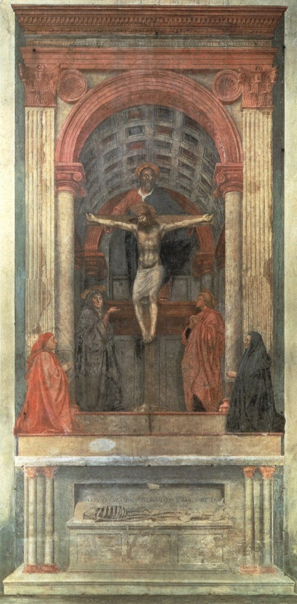 Dimensions 3113 x 6336 pixels