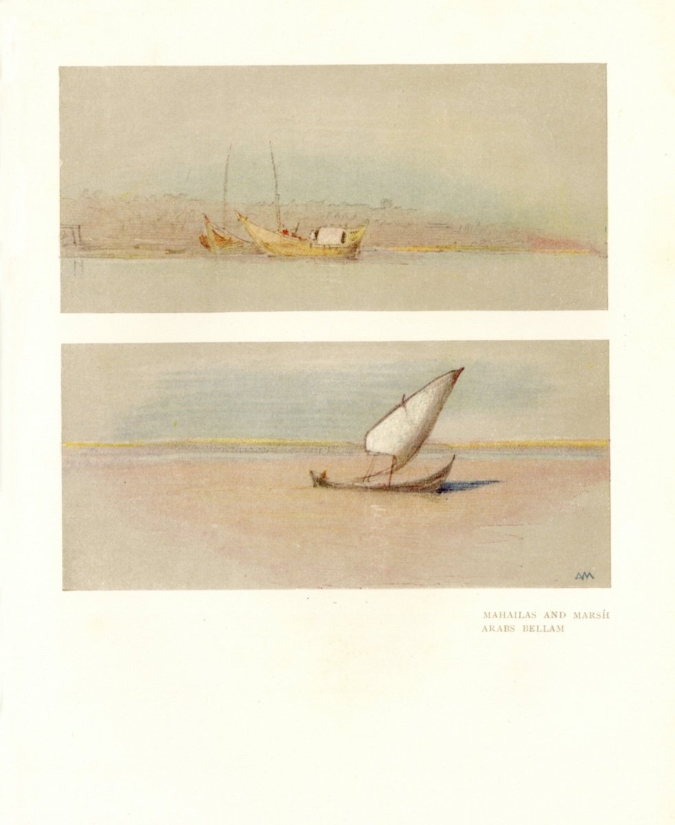 Dimensions 4086 x 4995 pixels