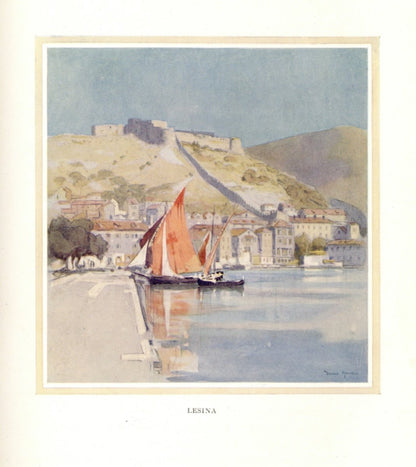 Dimensions 2912 x 3272 pixels