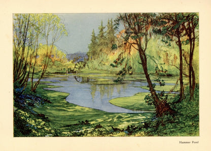 Dimensions 5272 x 3776 pixels