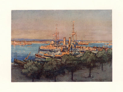 Dimensions 4137 x 3094 pixels