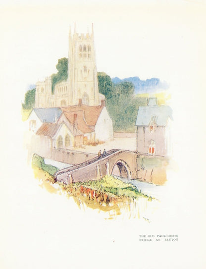 Dimensions 3592 x 4688 pixels