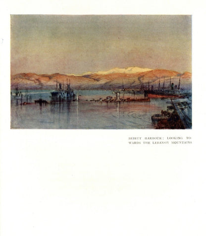 Dimensions 3771 x 4320 pixels