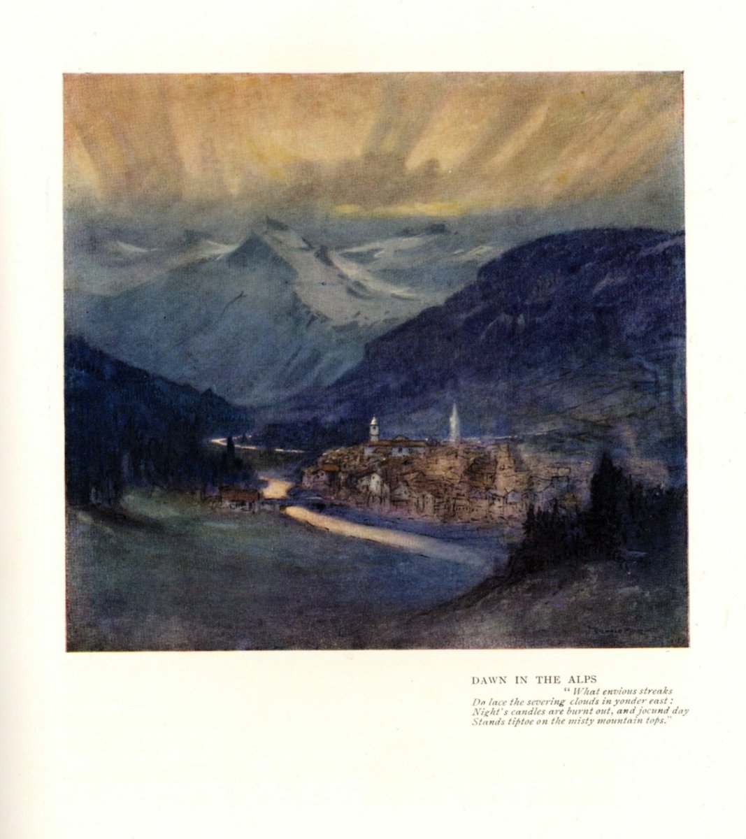 Dimensions 3969 x 4464 pixels