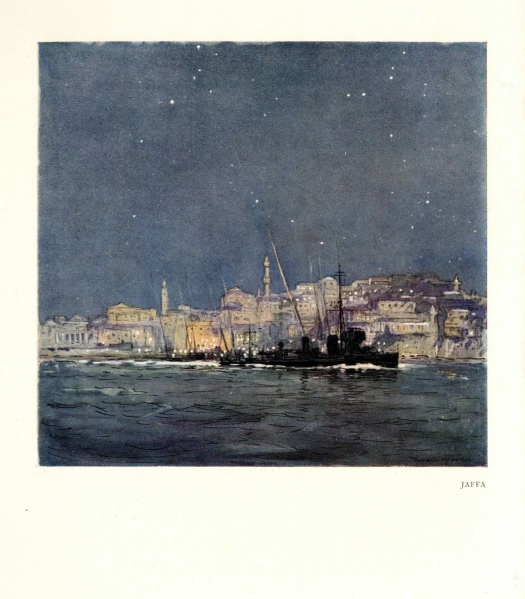 Dimensions 3848 x 4392 pixels