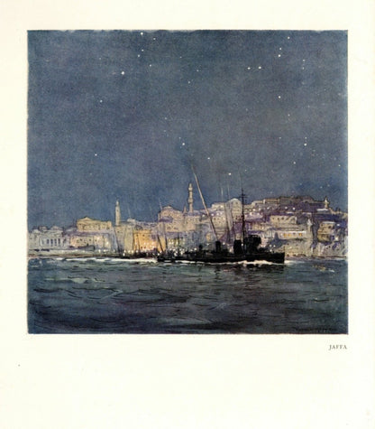 Dimensions 3848 x 4392 pixels