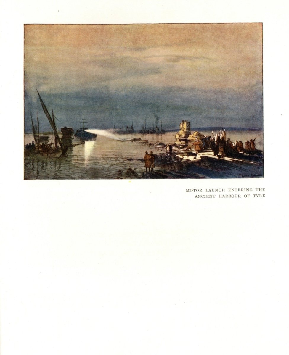 Dimensions 3969 x 4878 pixels