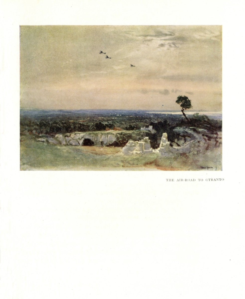 Dimensions 3996 x 4878 pixels