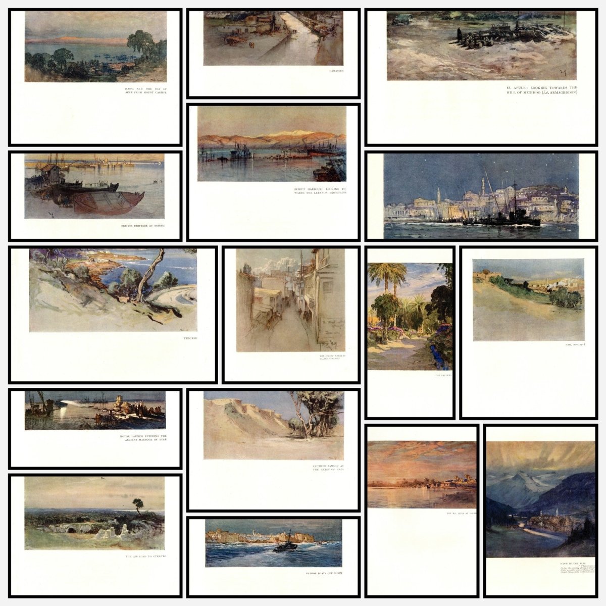 A snapshot of the images