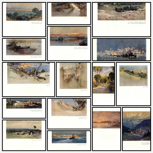 A snapshot of the images