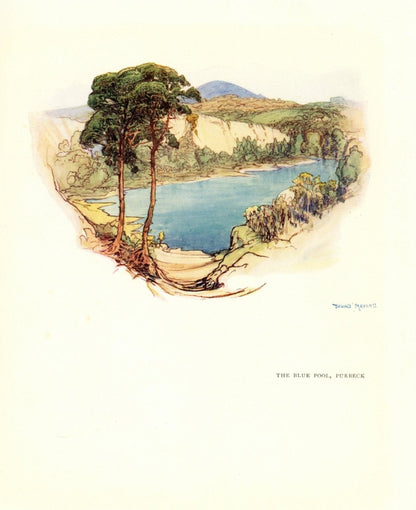 Dimensions 3780 x 4634 pixels