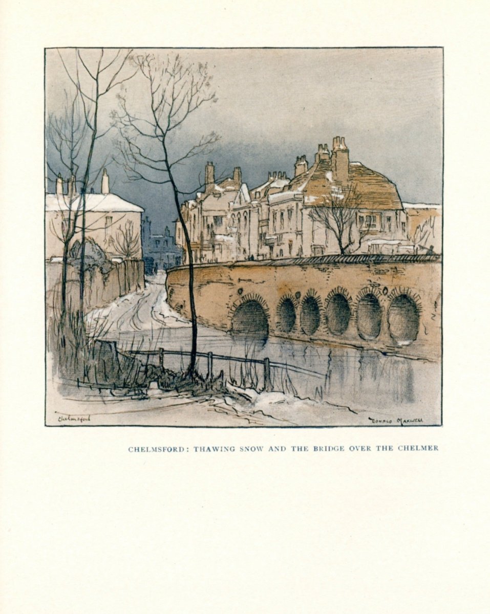 Dimensions 3376 x 4232 pixels