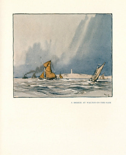 Dimensions 3438 x 4194 pixels