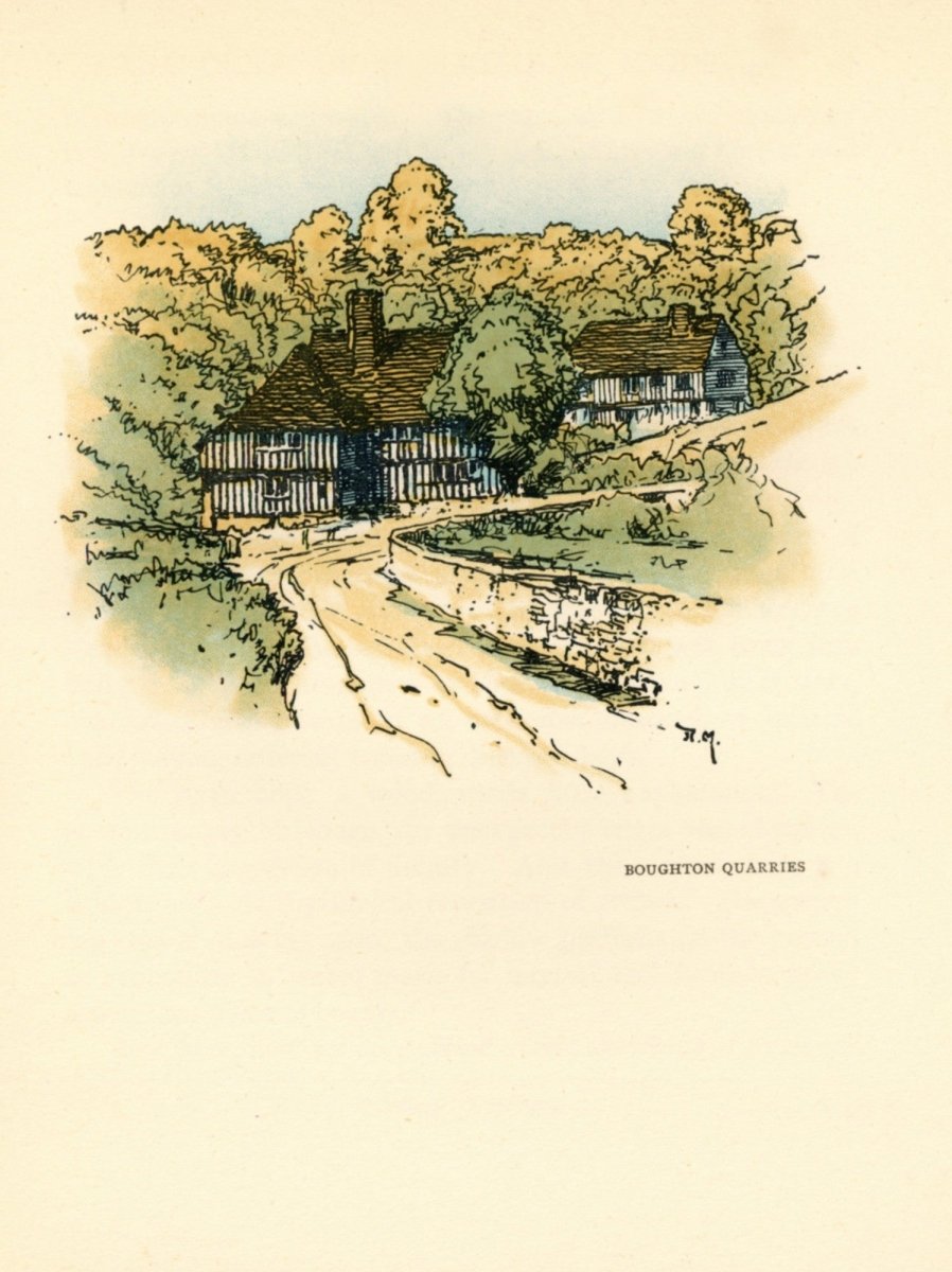 Dimensions 3280 x 4384 pixels