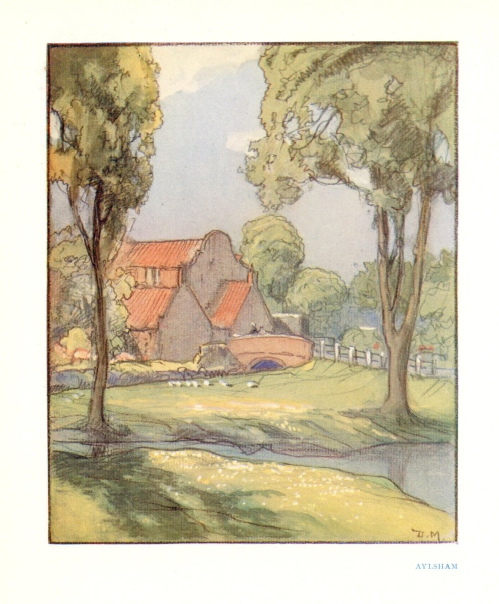 Dimensions 3260 x 3950 pixels