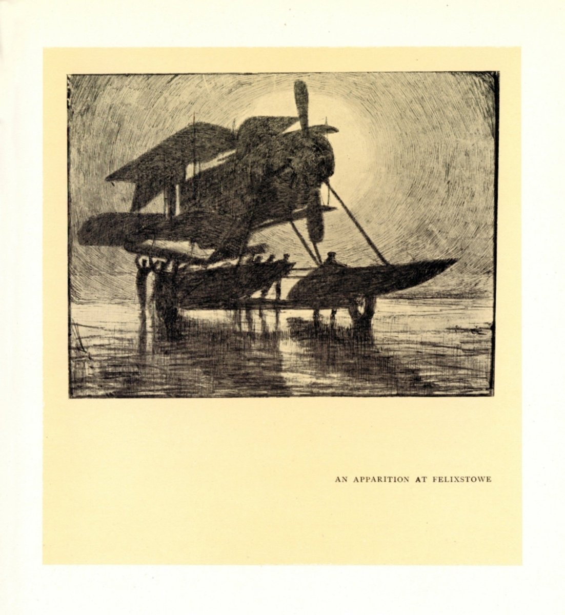 Dimensions 3537 x 3852 pixels