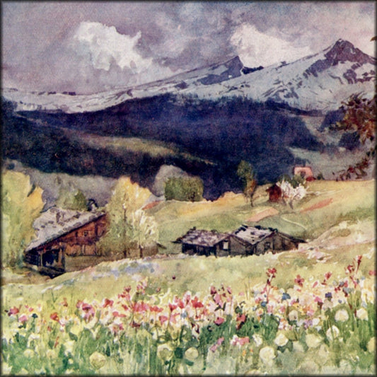 Digital Download - 8 images