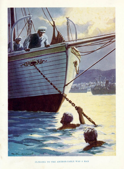 Dimensions 4158 x 5661 pixels