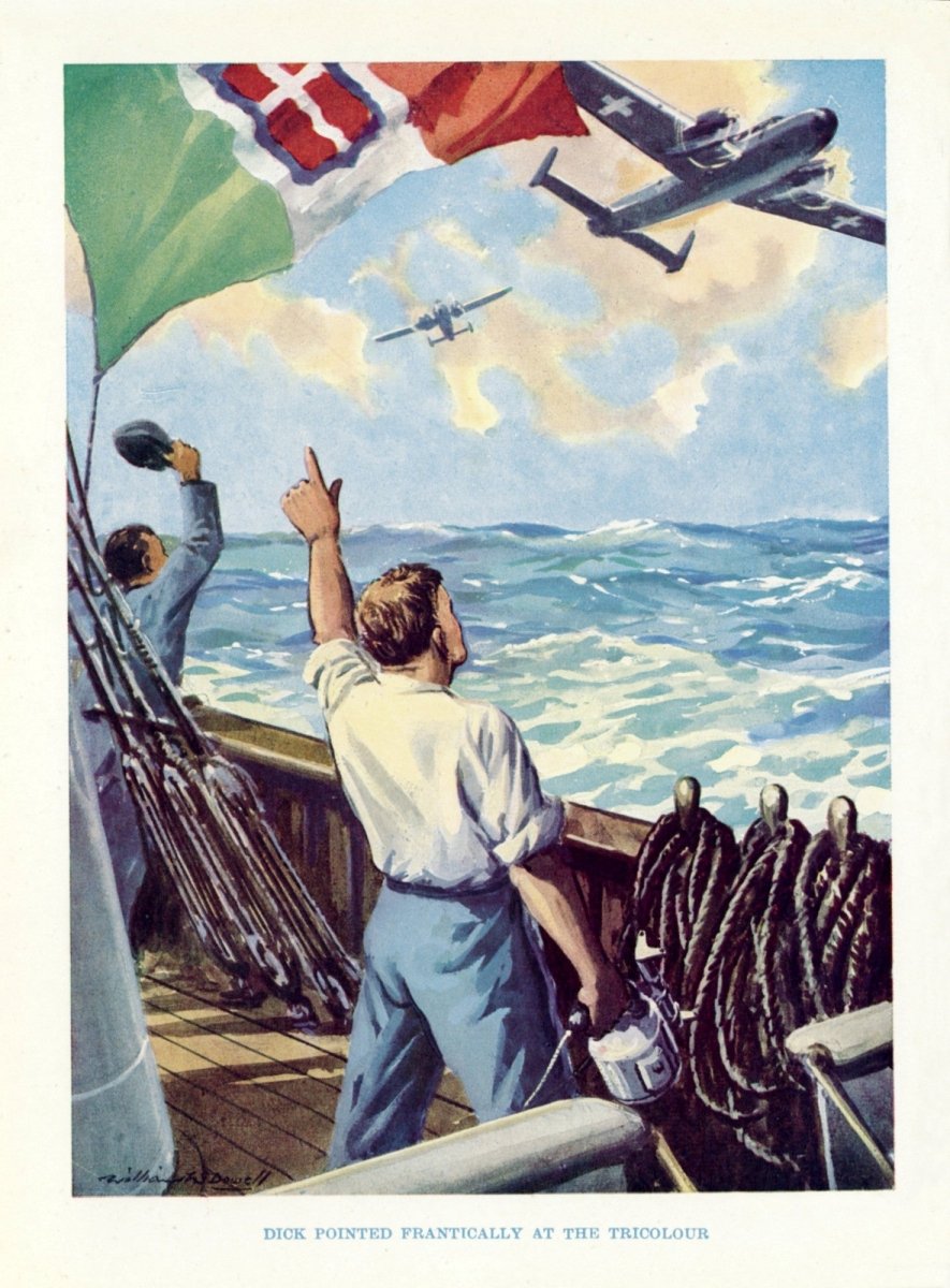 Dimensions 4160 x 5640 pixels