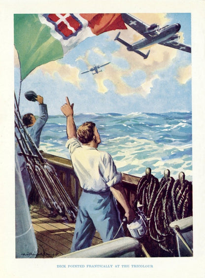 Dimensions 4160 x 5640 pixels