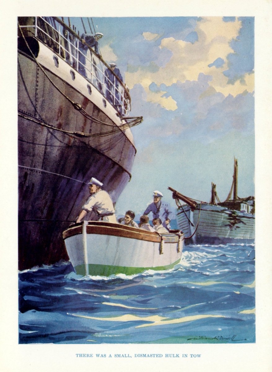 Dimensions 4131 x 5643 pixels