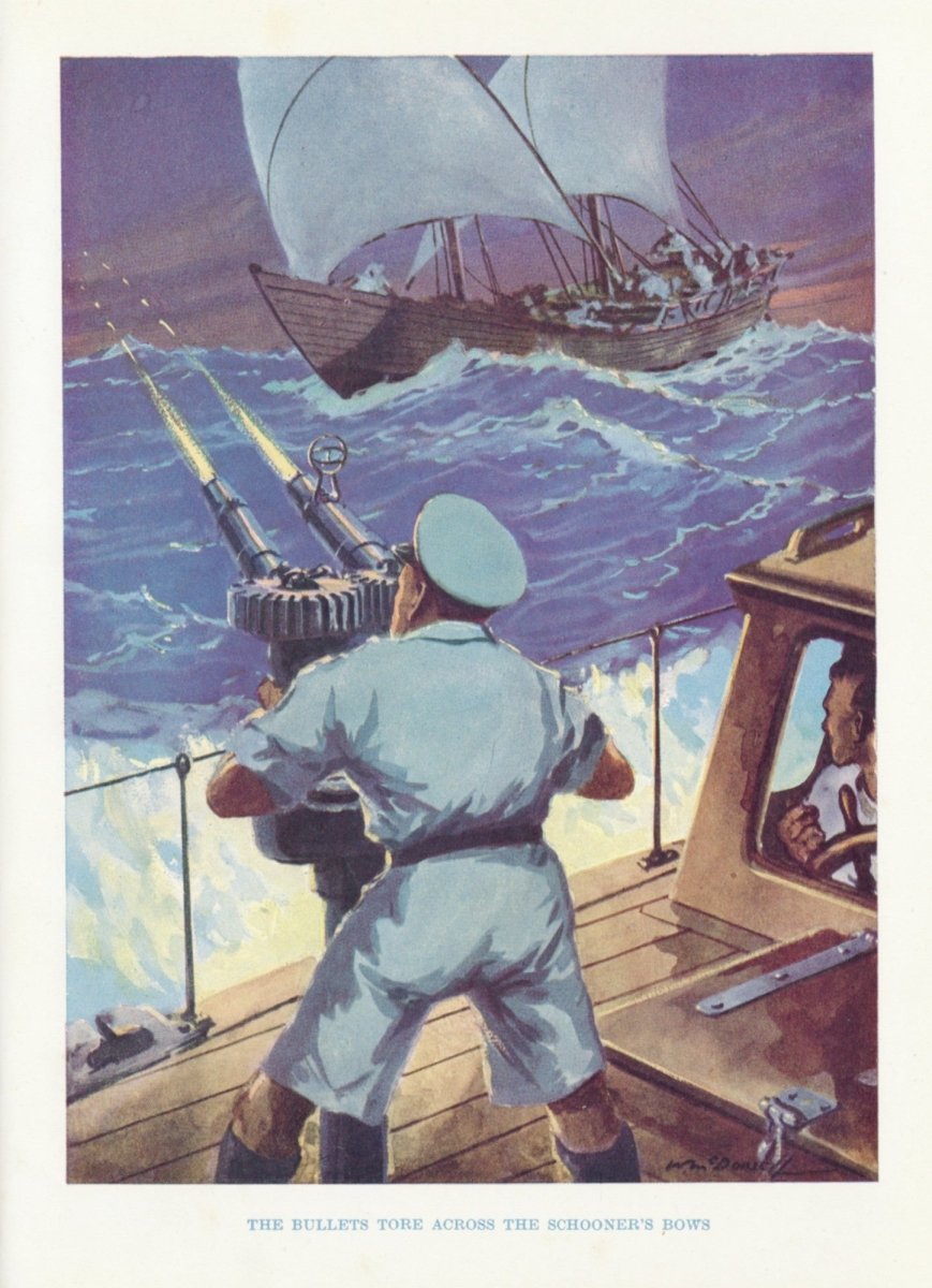 Dimensions 4113 x 5679 pixels