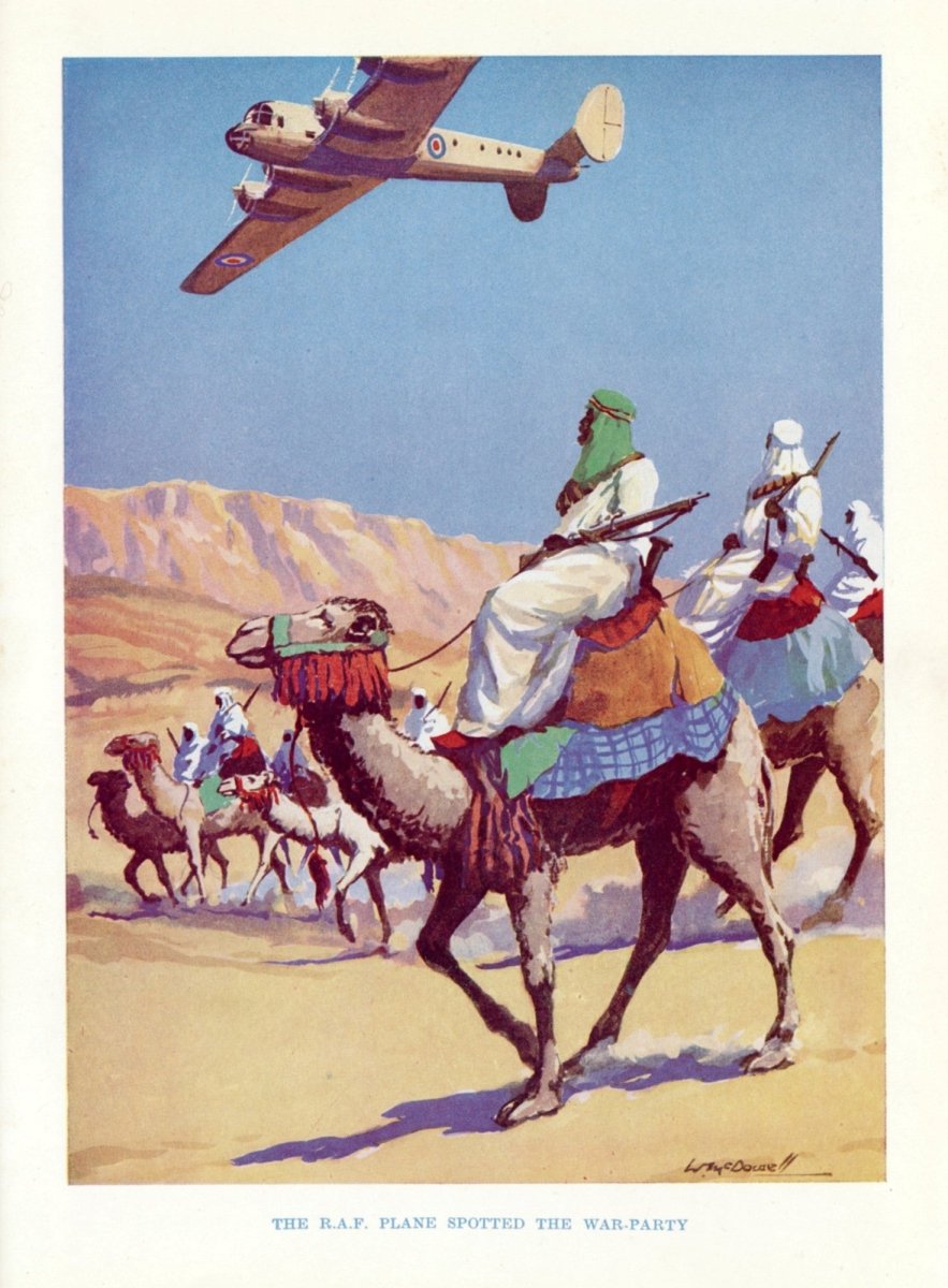 Dimensions 4167 x 5661 pixels