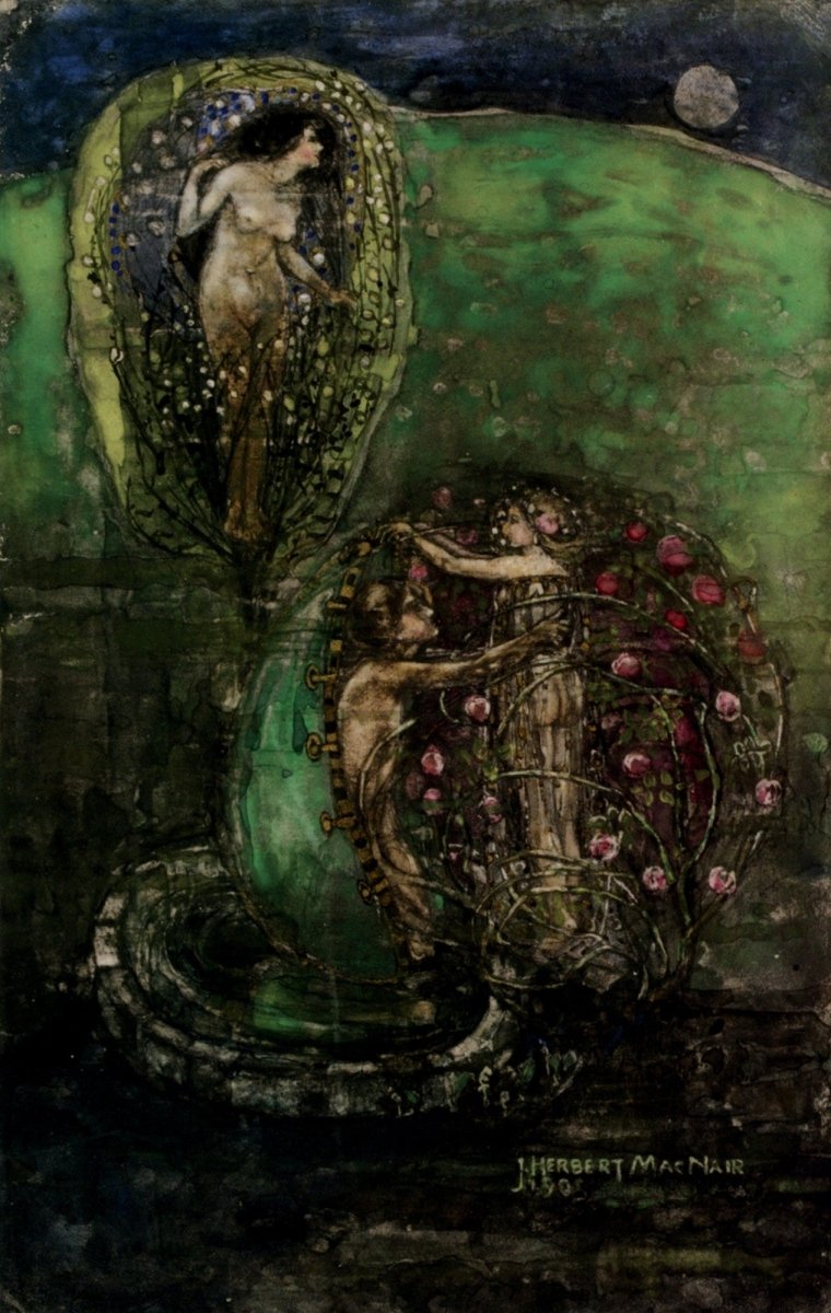 Dimensions 2994 x 4728 pixels