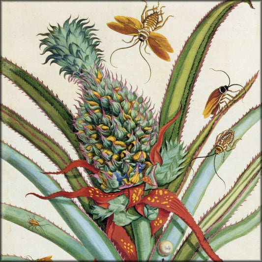 Digital Download - 1 image