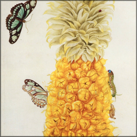 Digital Download - 1 image