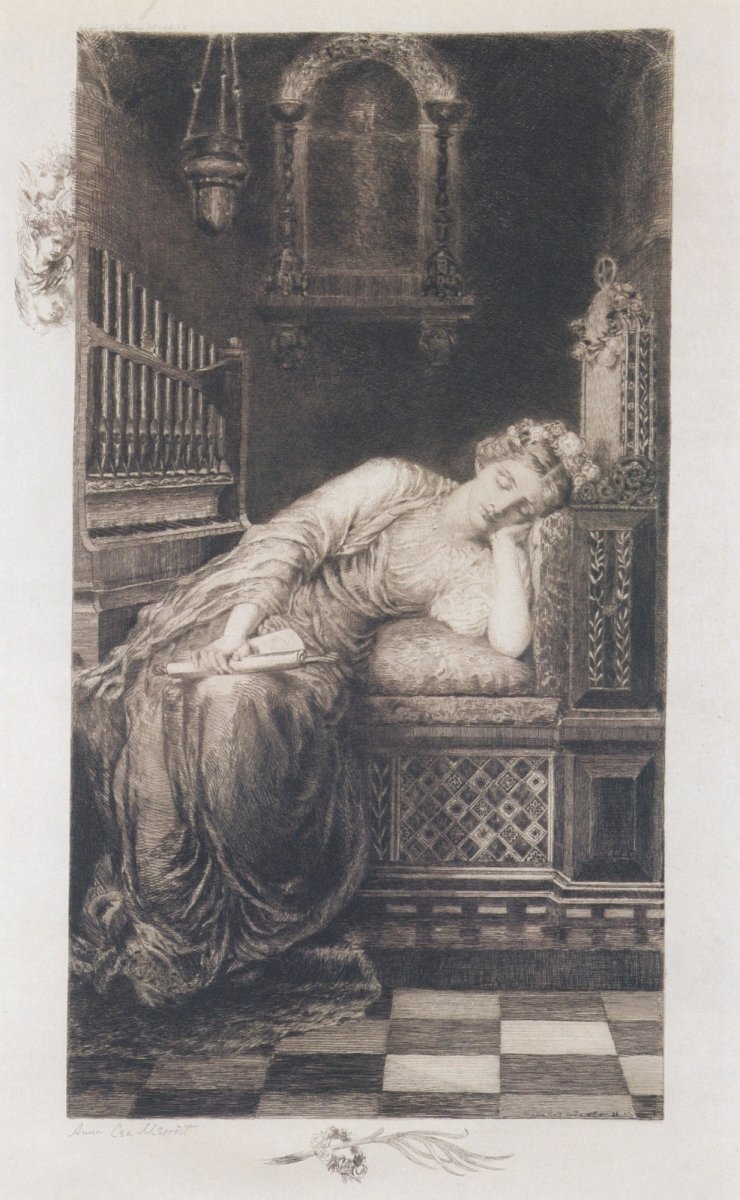 Dimensions 4050 x 6570 pixels