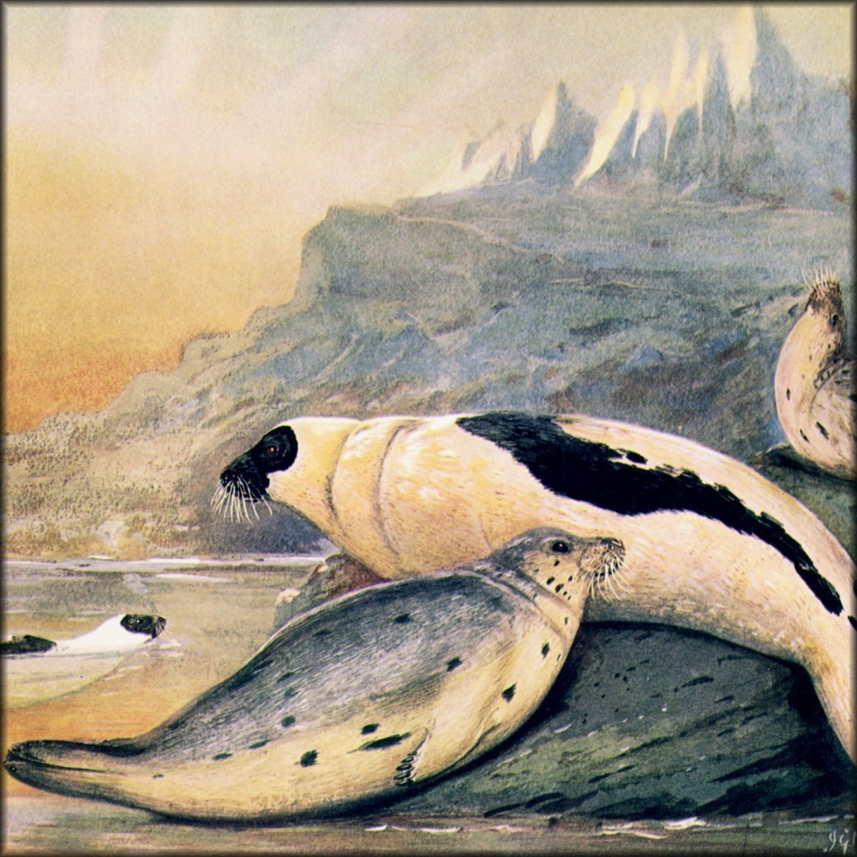 Digital Download - 1 image